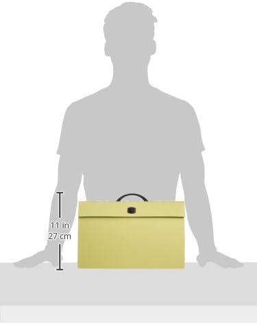 Smead Portable Expanding File Box, 19 Pockets, Blank Tabs, Printed Labels, Latch Closure, Legal Size, Blue (70806) (Pack of 4)