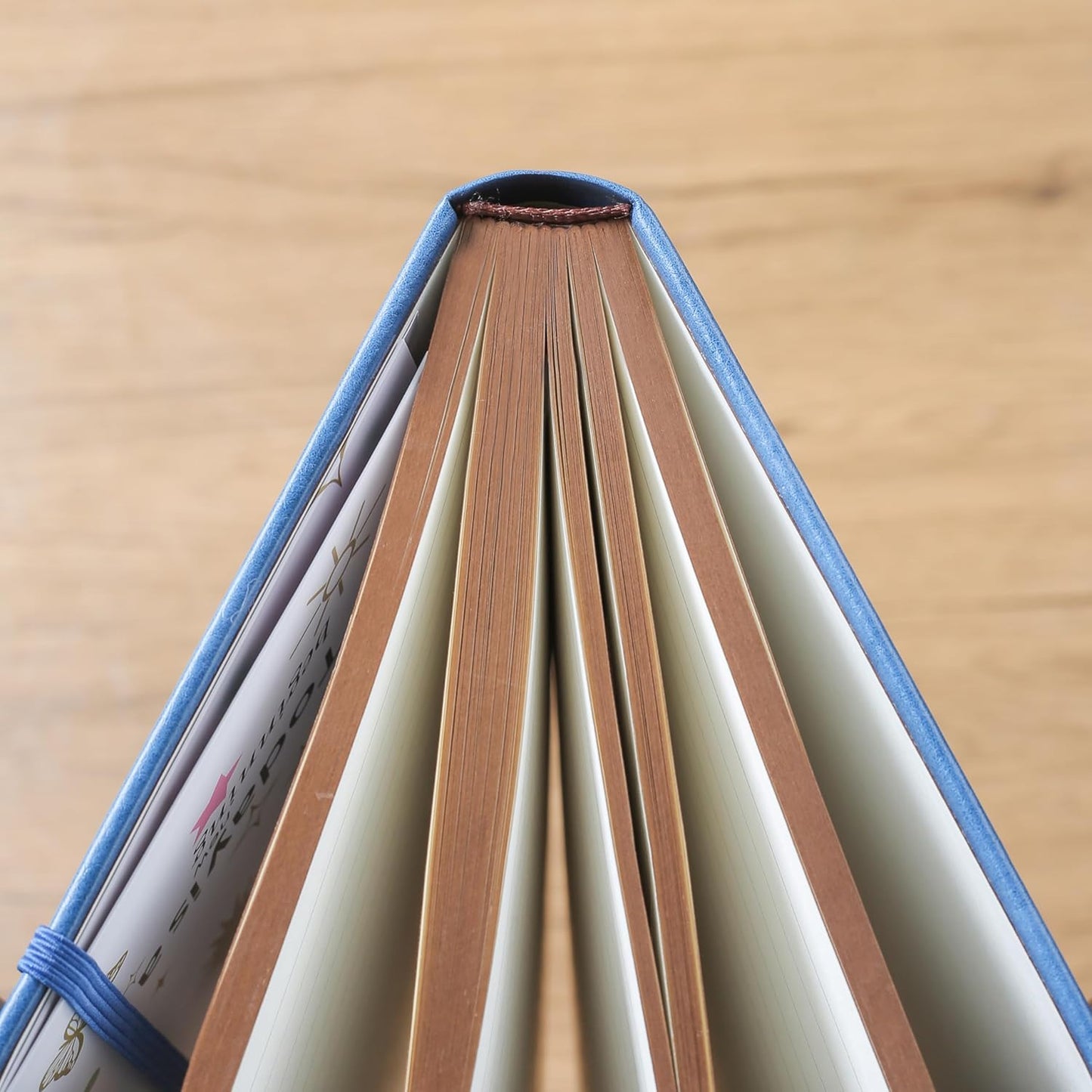 ZXHQ B5 360 Pages Lined Journaling Notebooks with Pen, Journals for Women Men Writing Notebook, Tree of Life Design, Brown Edge, Fine Inner Pocket - Blue