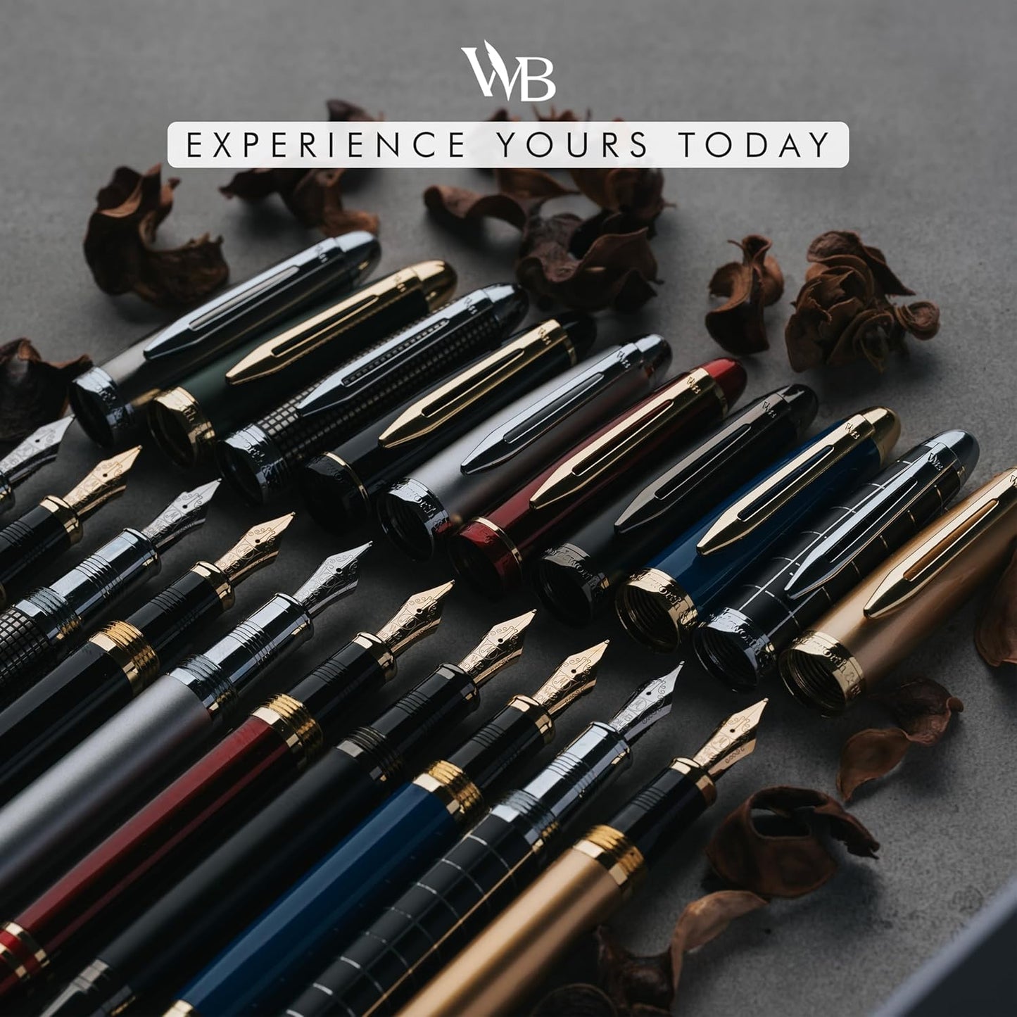 Wordsworth & Black Majesti Fountain Pen-(Silver), Luxury Case, 24K Gold Finish; 18K Gilded Medium Nib- Ink Cartridges, Refillable Ink Converter-Calligraphy Pen-Best Business Gift Set for Men & Women